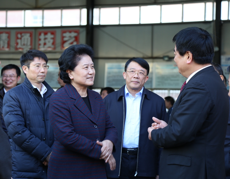 中共中央政治局委員、國務(wù)院副總理劉延?xùn)|在教育部副部長朱之文，四川省教育廳廳長朱世宏等陪同下視察四川應(yīng)用技術(shù)職業(yè)學(xué)院_副本.jpg